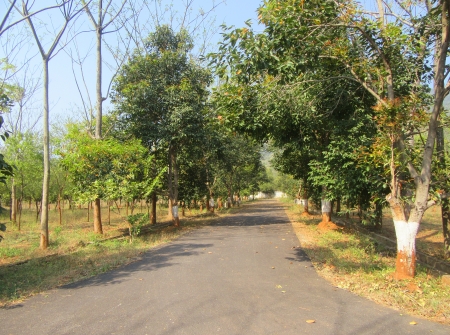 308417068-3) Li id 368 - Pic 4.JPG